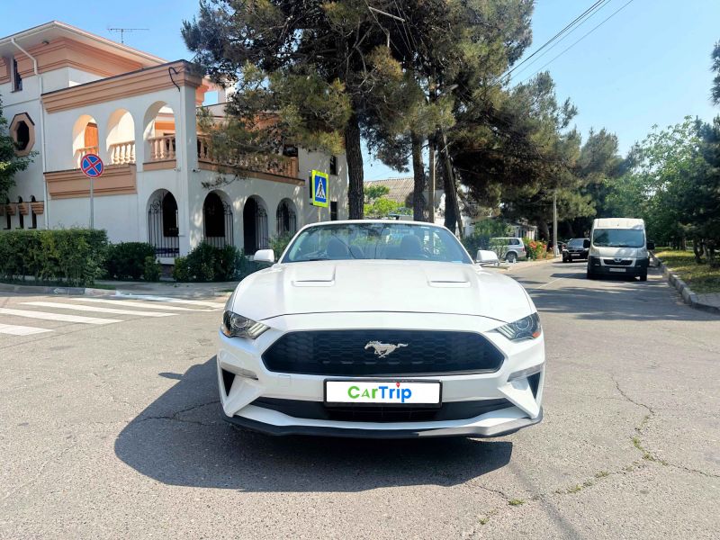 Ford Mustang Спорт купе / Кабриолет