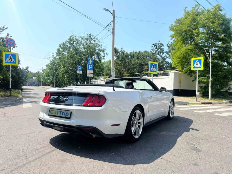 Ford Mustang Спорт купе / Кабриолет